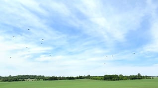 TREX_Swarm_crop