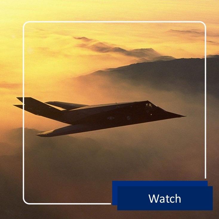 VS Final Skunk Image